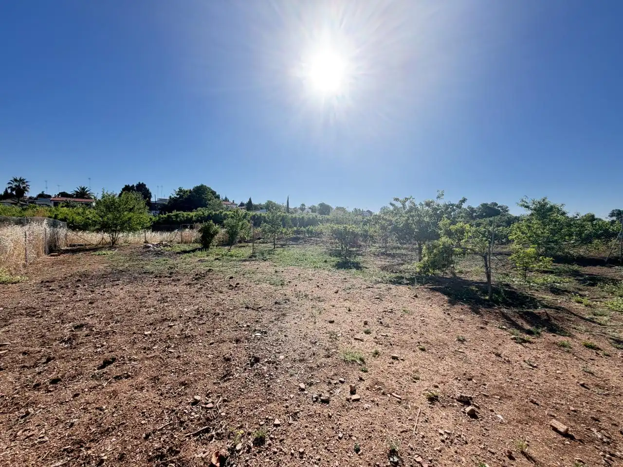 Houses for sale in Almendralejo