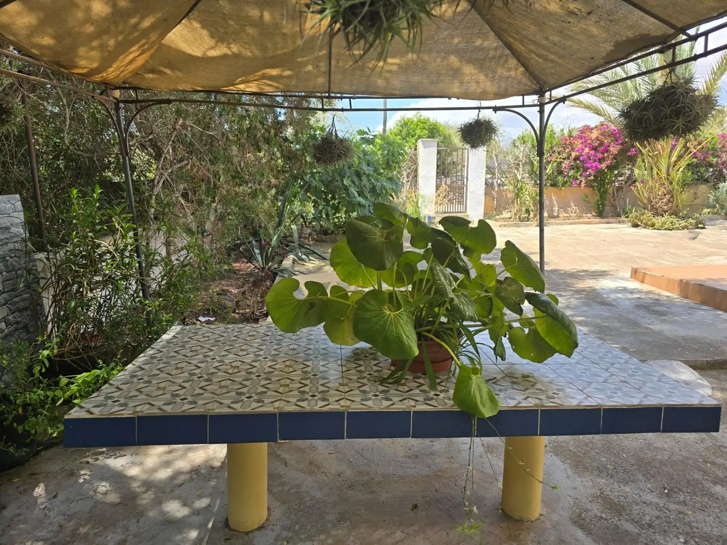 Terraza de Residencial en venta en Santanyí