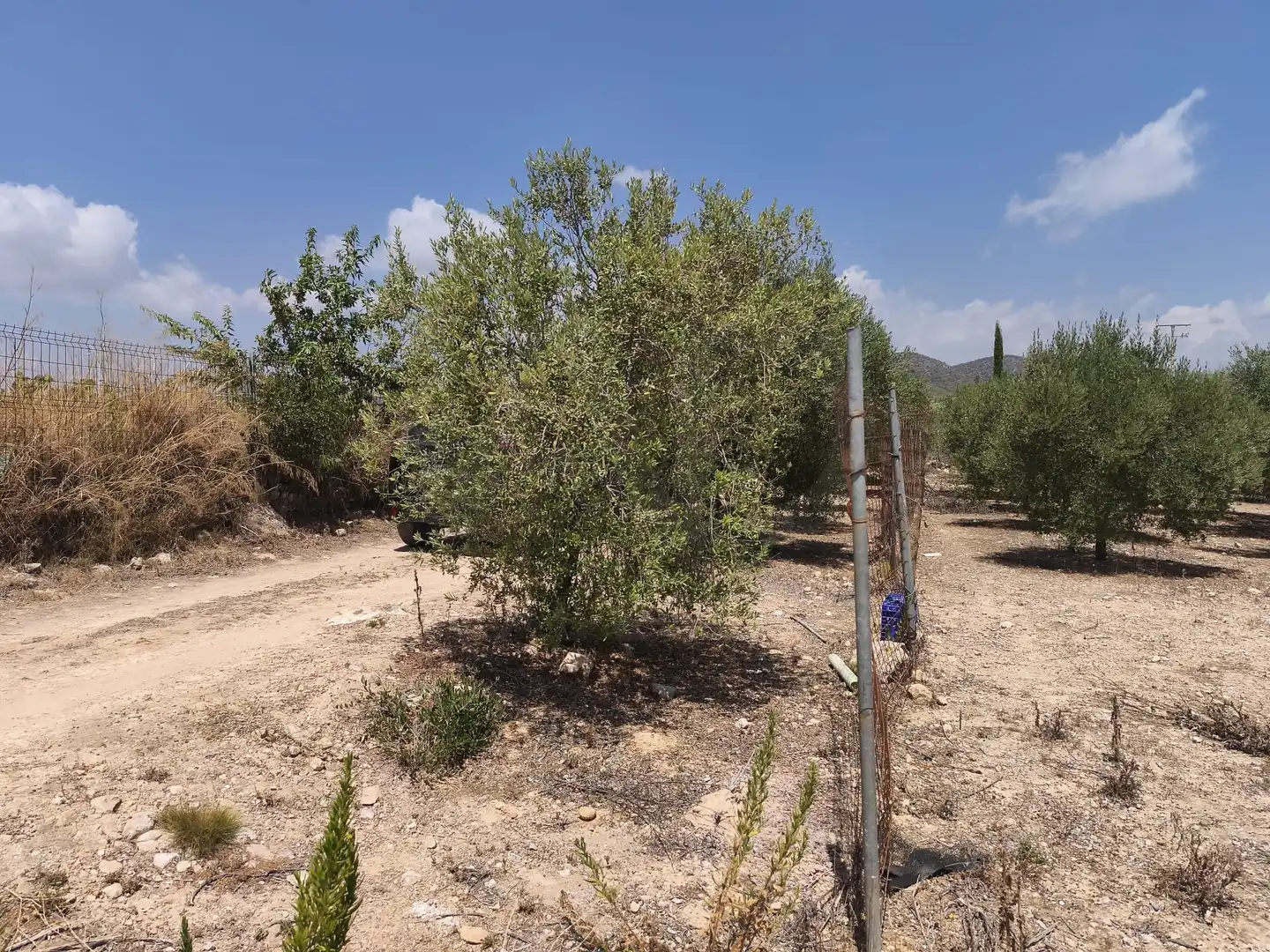 Rustikales Grundstück zum Verkauf in Sant Jaume dels Domenys, imagen 35