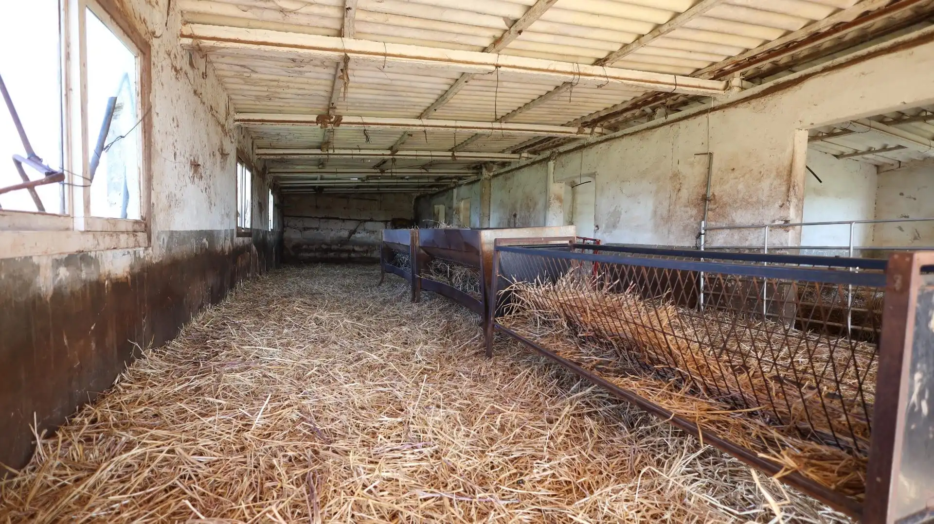 Terreno rustico in vendita a Binissalem, imagen 6