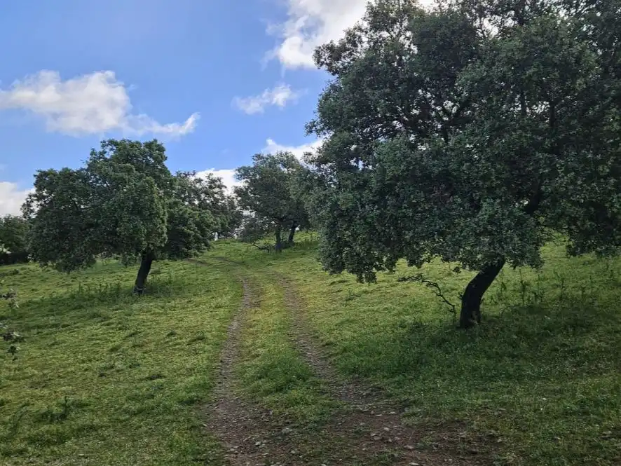 Terreno rustico in vendita a BA-135 107