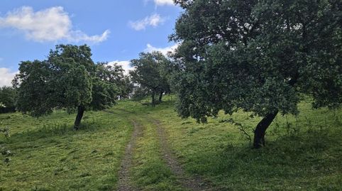 Finca rústica en Siruela