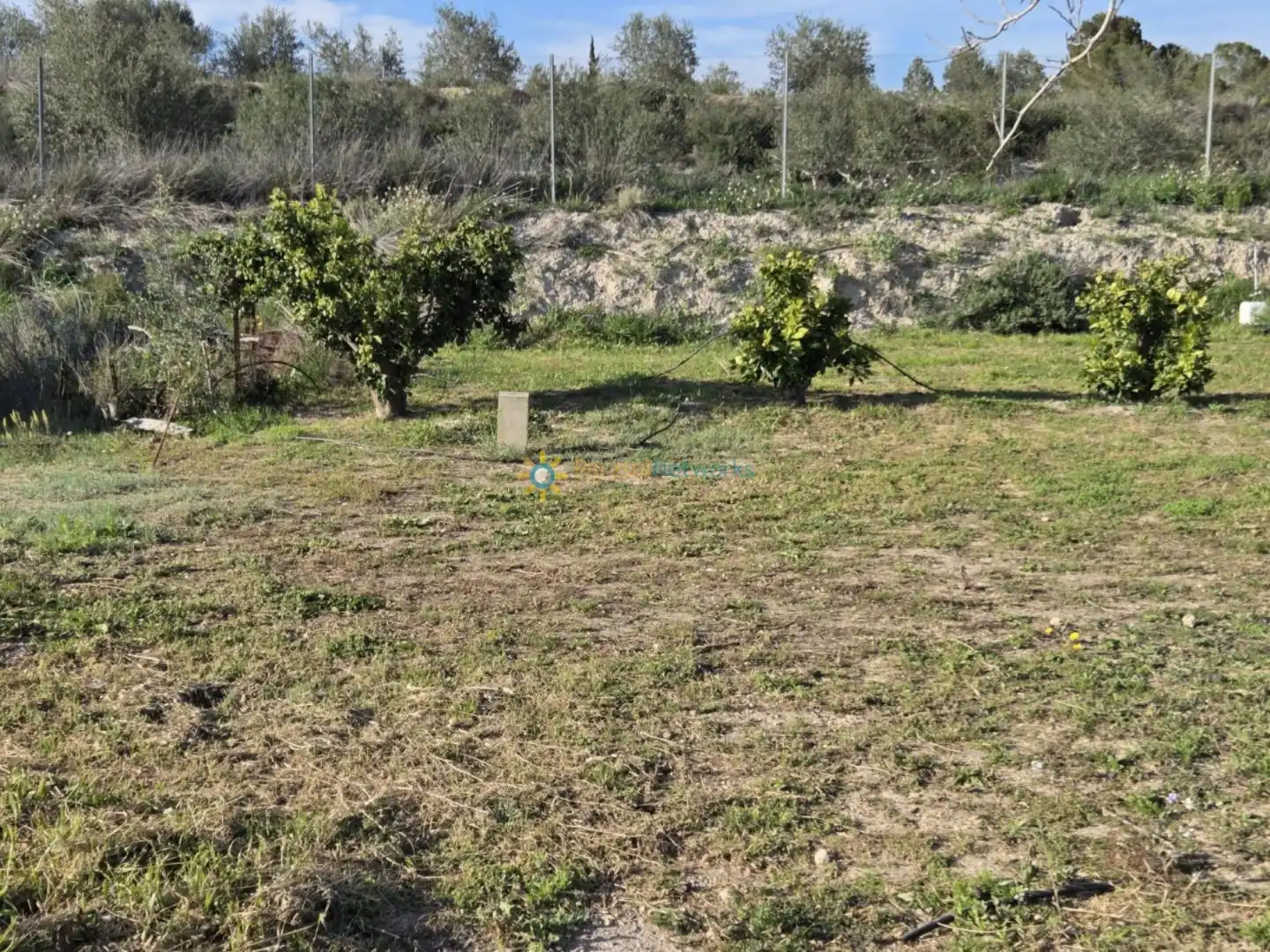 Terreny rústic en venda a L'Olleria, imagen 7