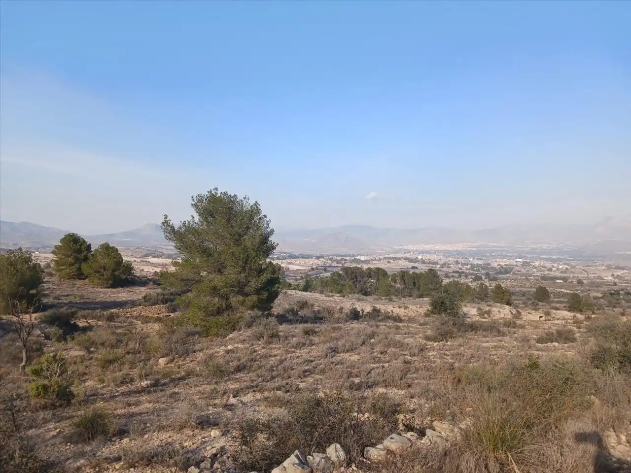 Residential land for sale in Proc. Simplificado, imagen 14