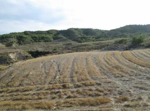 Terrains et parcelles à vendre à Lg Castañeda y Umbrías de La Pinosa, Pol 313, imagen 9