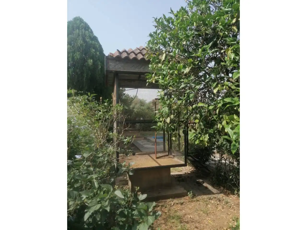 Jardí de Casa o xalet en venda en Dos Hermanas amb Jardí privat, Terrassa i Piscina