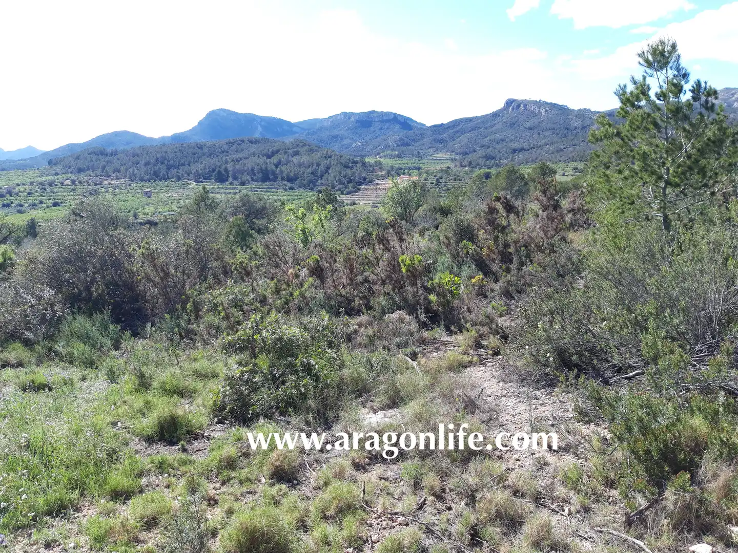 Rural land for sale in C-43, imagen 2