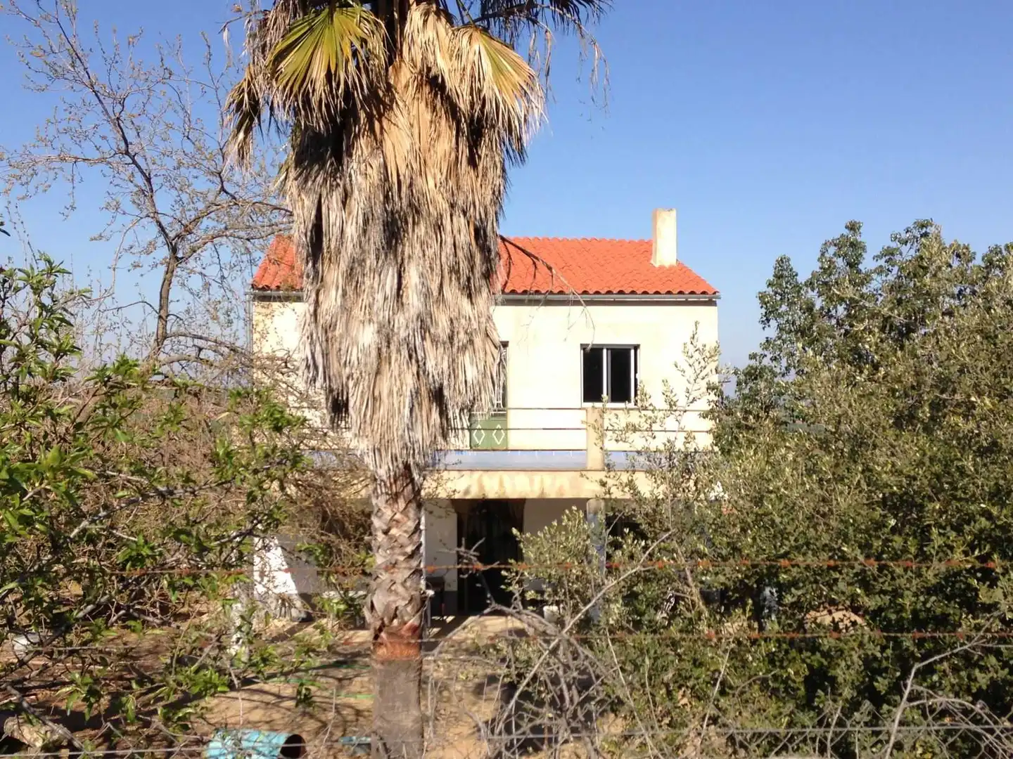 Vista exterior de Finca rústica en venta en Don Benito, Badajoz