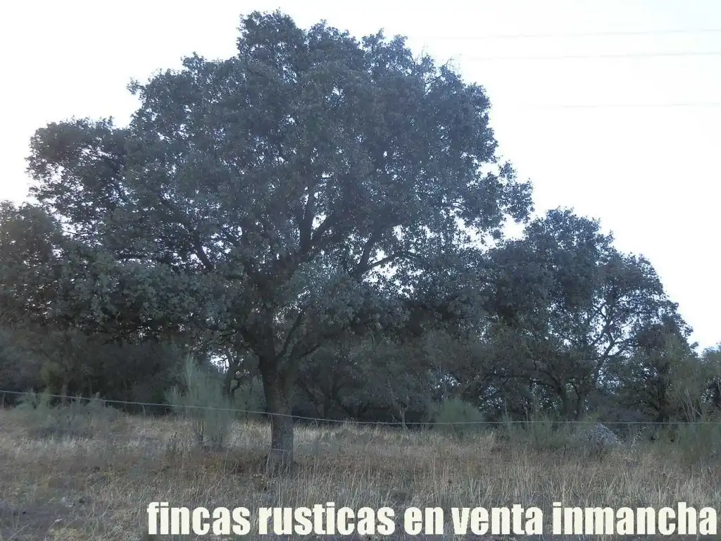 Rustikales Grundstück zum Verkauf in Avenida Ciudad Real Pol N 7, imagen 17