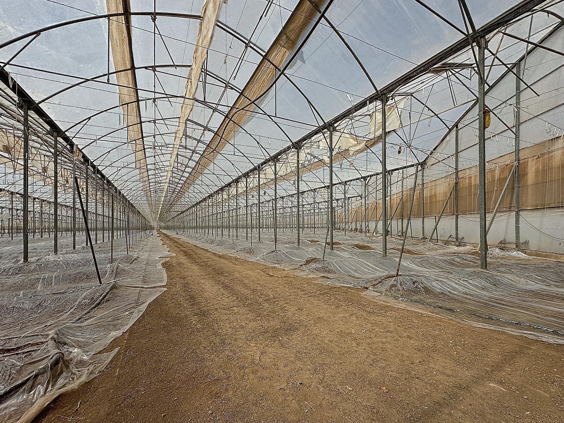 Garten von Grundstücke zum verkauf in Lucainena de las Torres