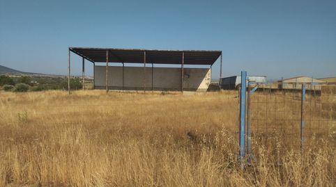 GRANJA GANADERA EN LA HABA, immagine 3