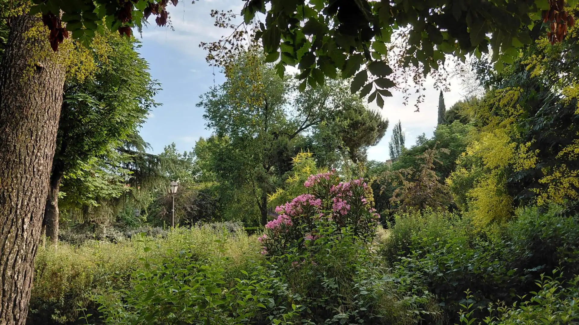 Garten von Büro zum Verkauf in Madrid