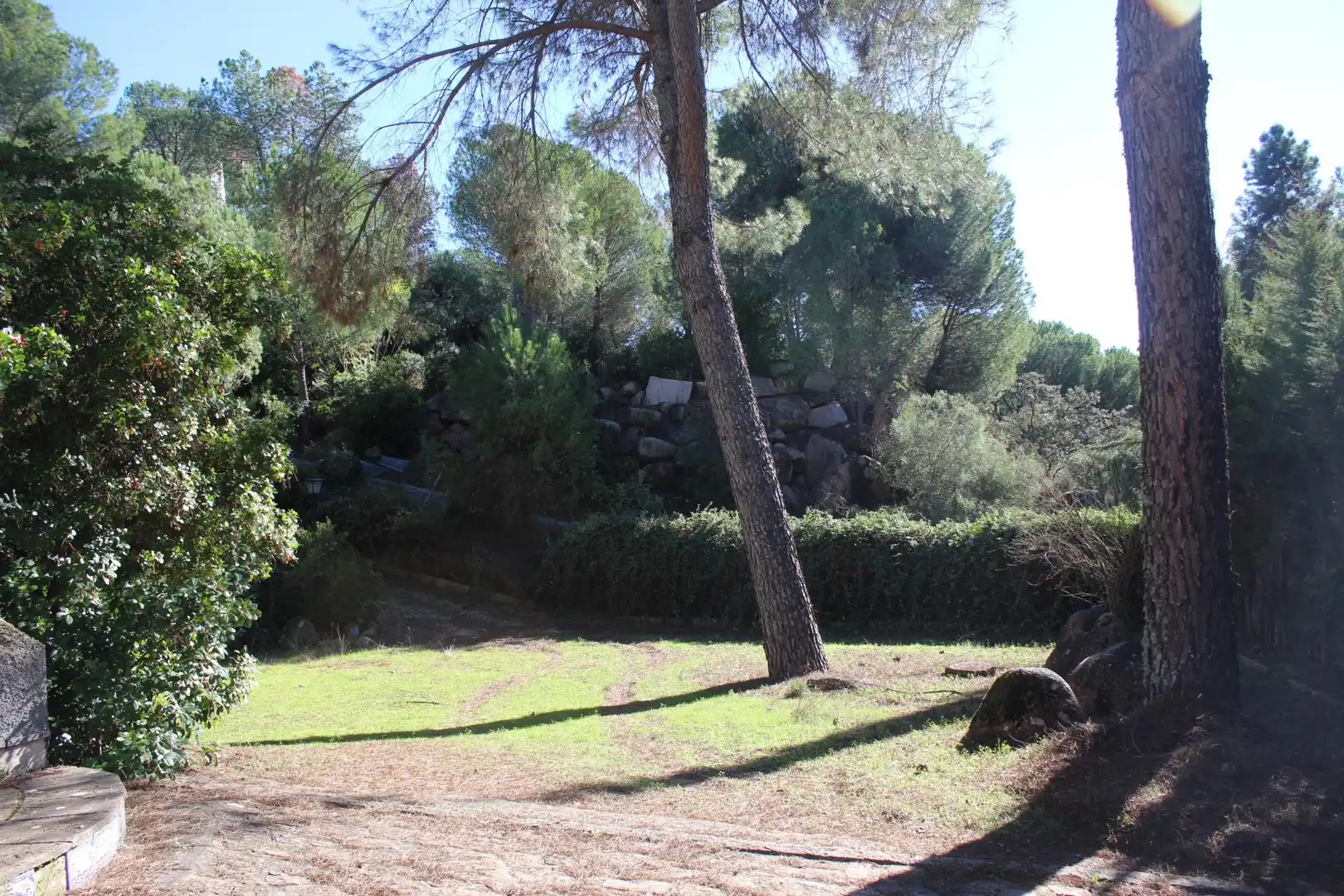 Jardí de Casa o xalet en venda en Córdoba amb Aire condicionat, Jardí privat i Terrassa