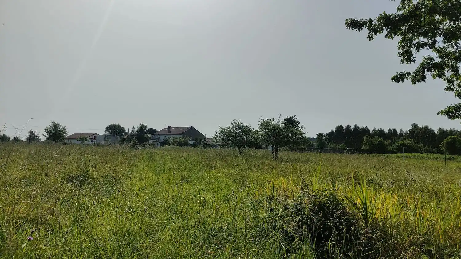 Residential zum Verkauf in Soto del Barco