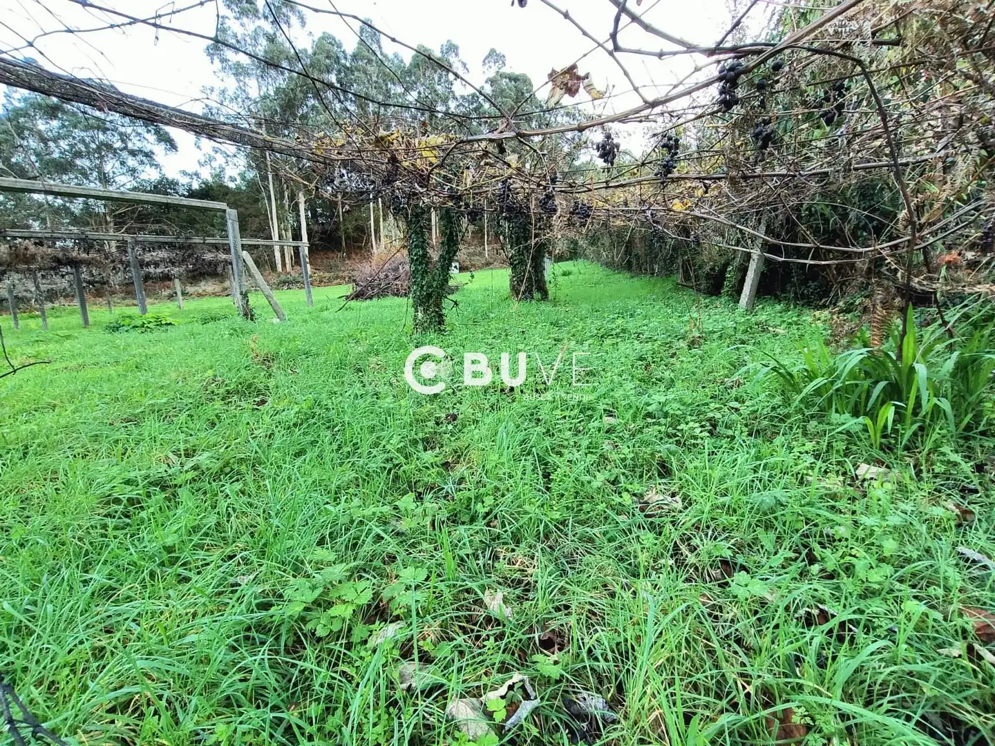 Houses for sale in Rois  with Private garden