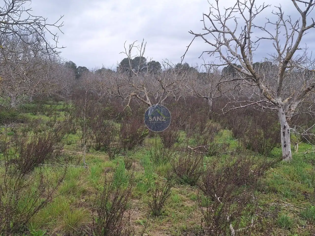 Terreny rústic en venda a Pda Barranc de l´Algar, imagen 9