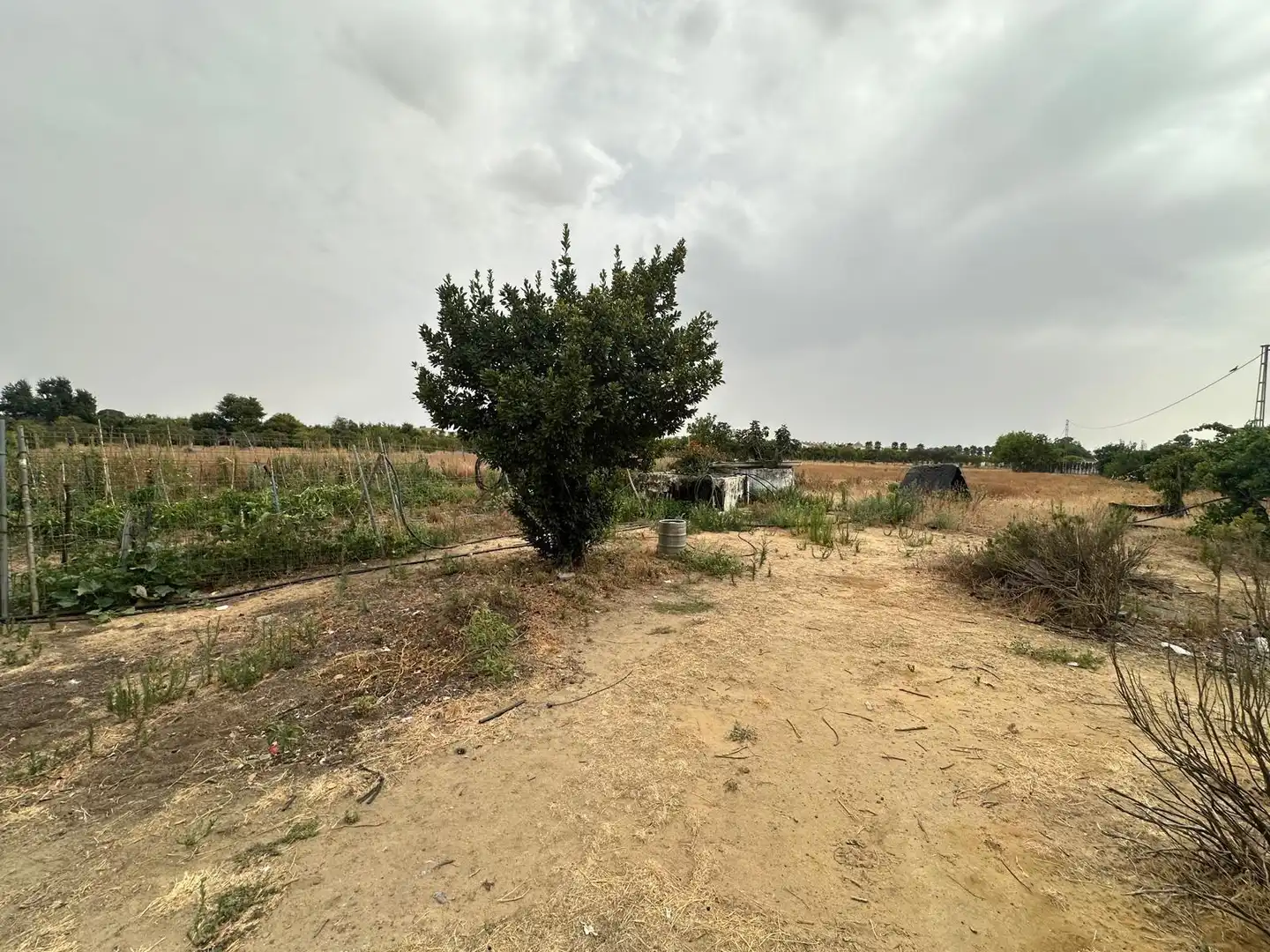 Terreni e lotti in vendita a Pedanías Norte, imagen 6
