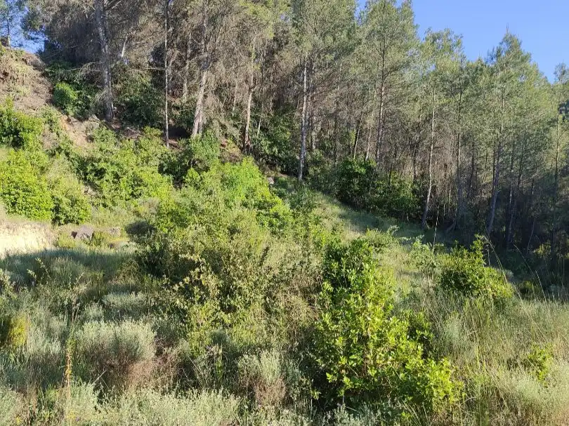 Residencial en venta en Castellbell i el Vilar