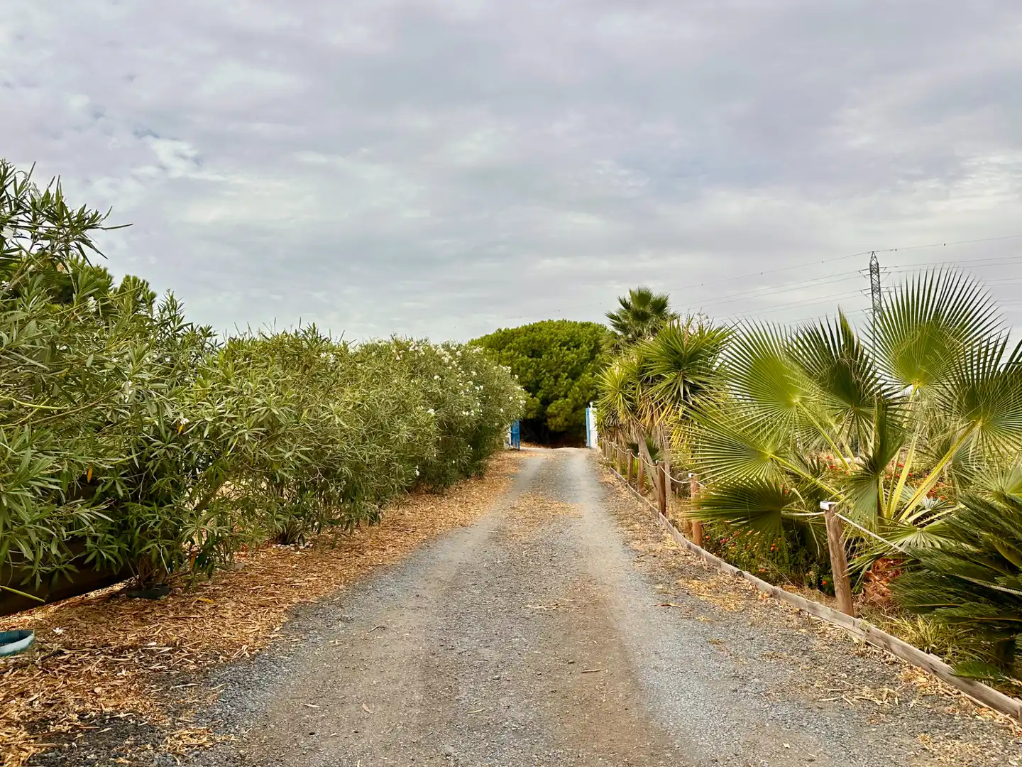 Country homes for sale in Lepe, Huelva