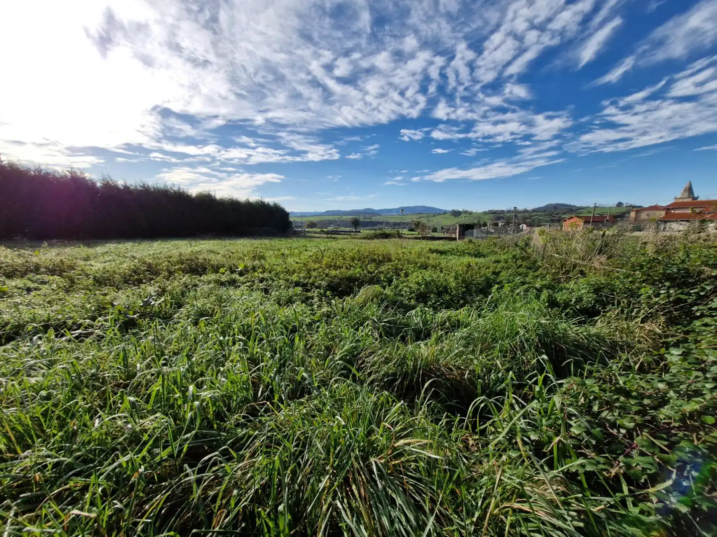 Land for sale in Suances