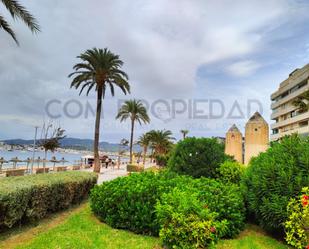 Jardí de Local de lloguer en  Palma de Mallorca