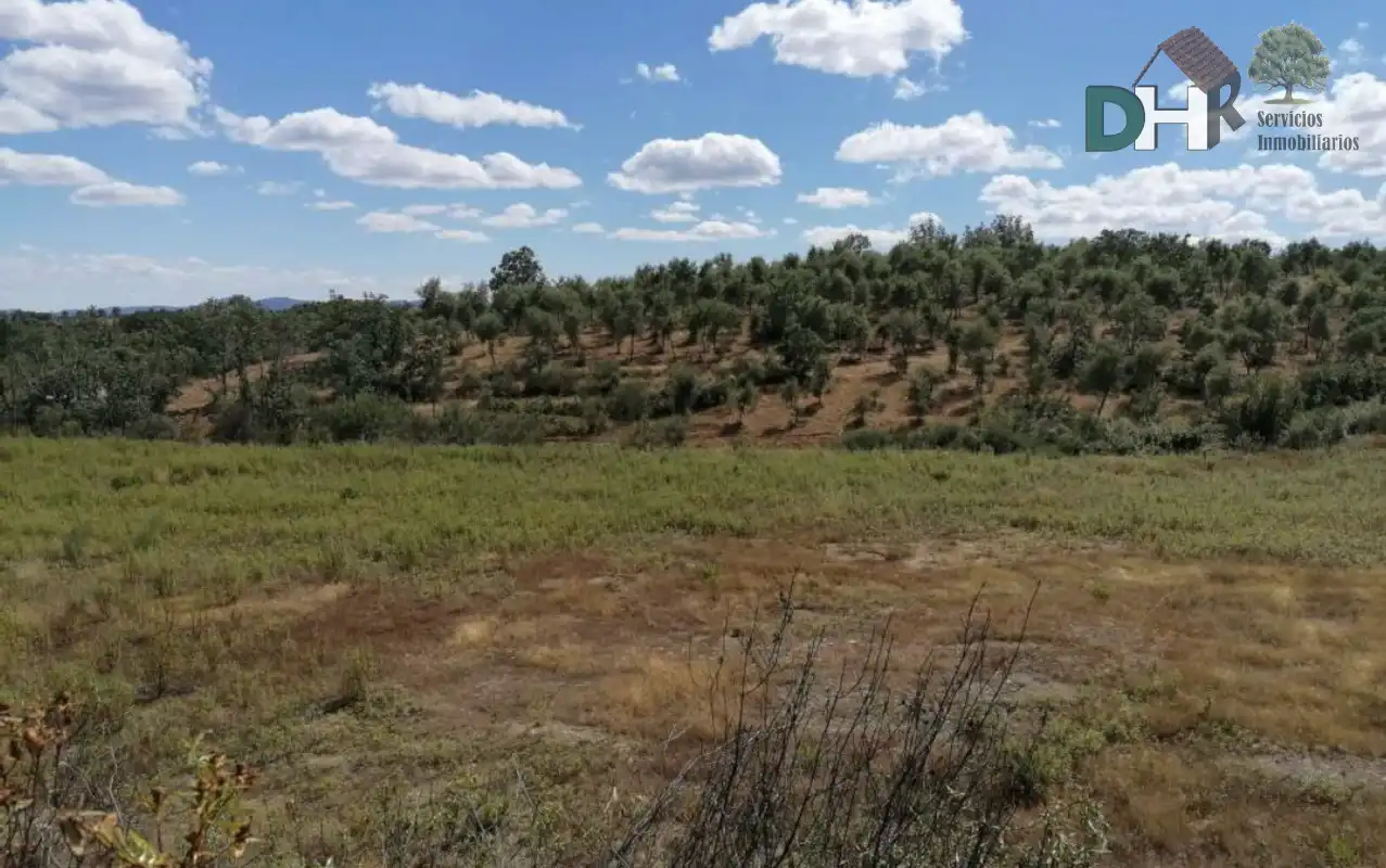 Terreni e lotti in vendita a Valverde del Fresno, imagen 4