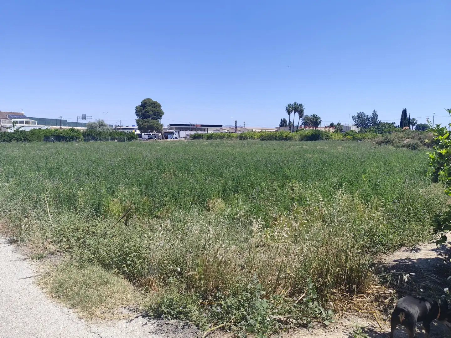 Residencial en venda en Murcia