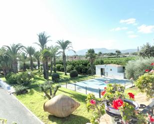 Garden of Flat to share in Elche / Elx  with Air Conditioner, Terrace and Swimming Pool