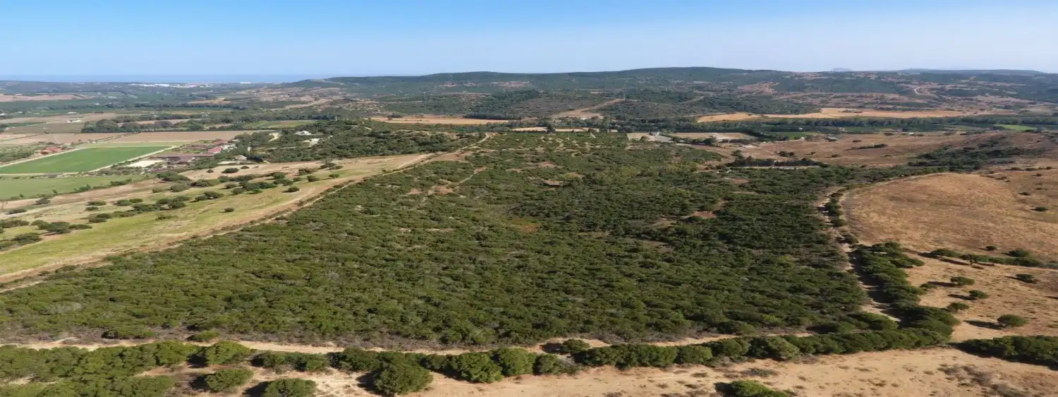 Maison rustique à vendre à San Martín del Tesorillo, imagen 31