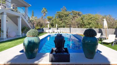 Foto 5 de Casa o xalet de lloguer a Villares Alto, Santa Eufemia, Sevilla