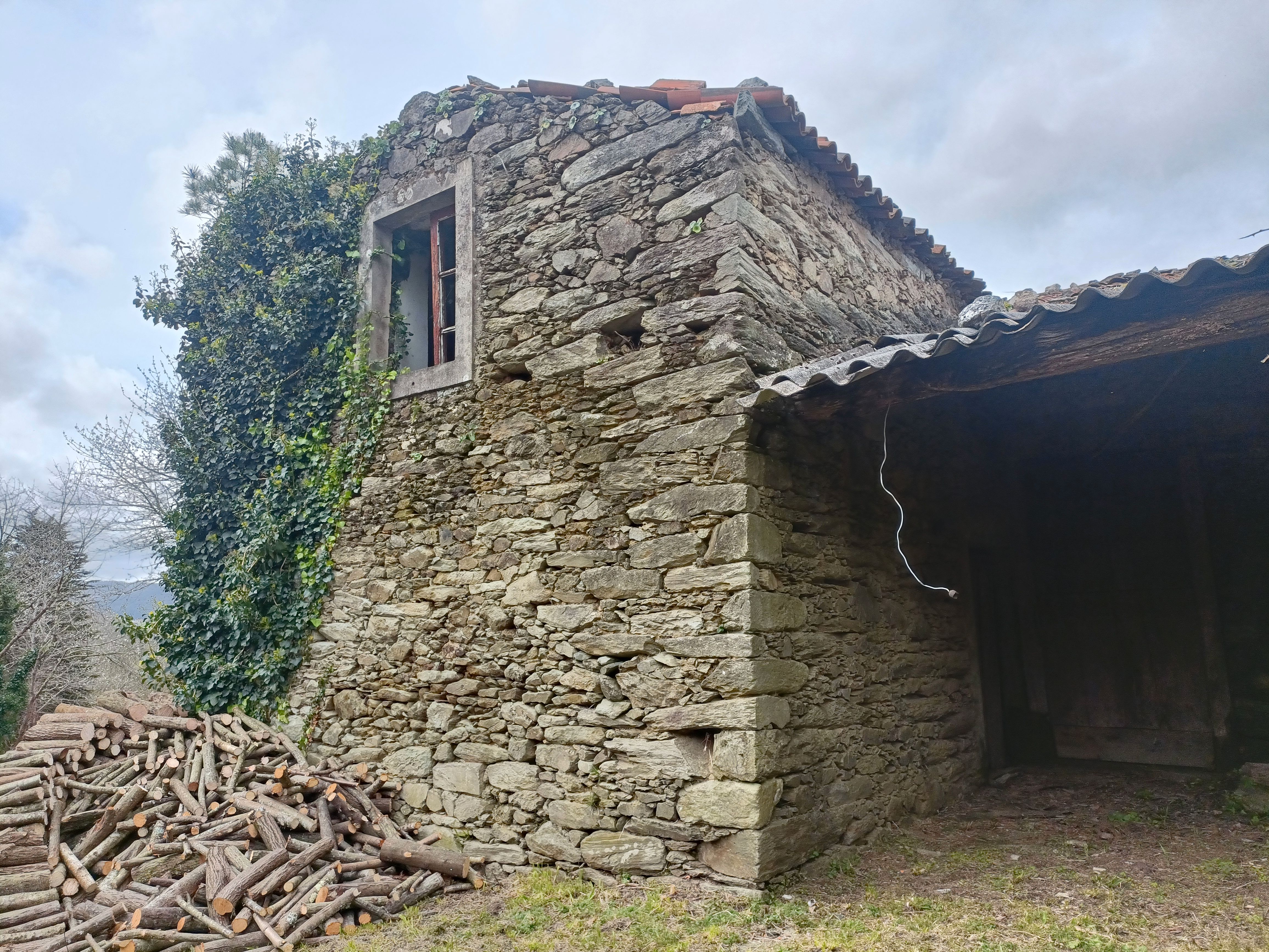 Vista exterior de Casa o xalet en venda en Cesuras amb Jardí privat