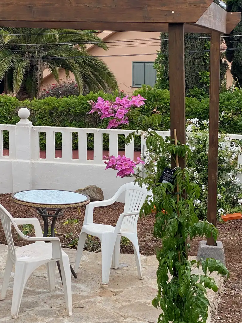 Terrace of Houses for rent in Tacoronte  with Air Conditioner, Private garden and Terrace