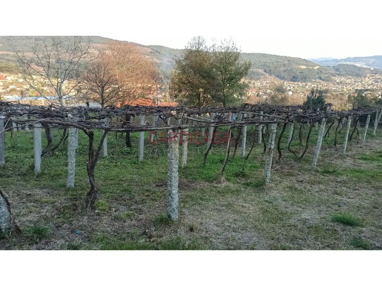 Terrain rustique à vendre à lugar Marrúa, imagen 7