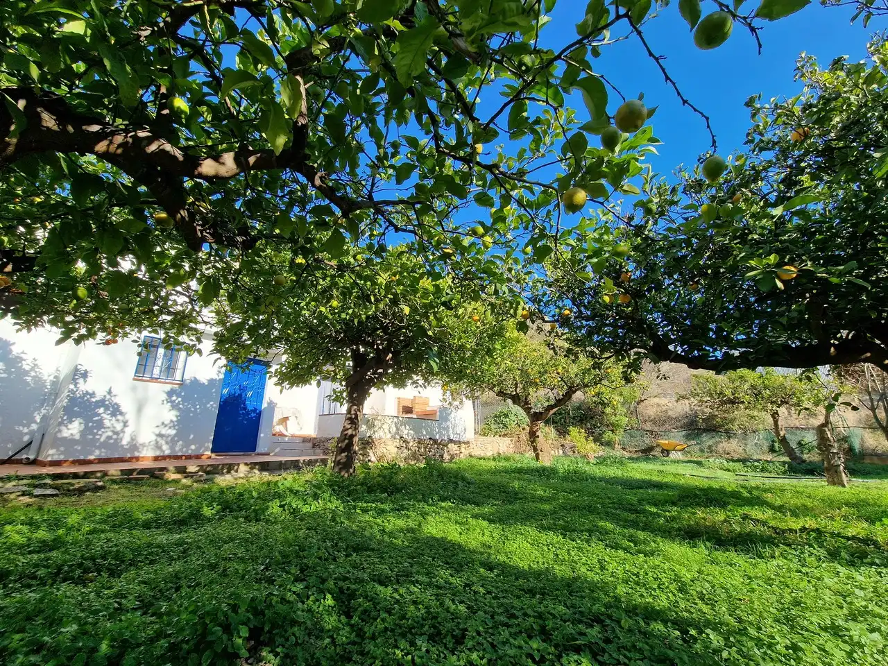 Jardín de Casa o chalet en venta en Alcaucín
