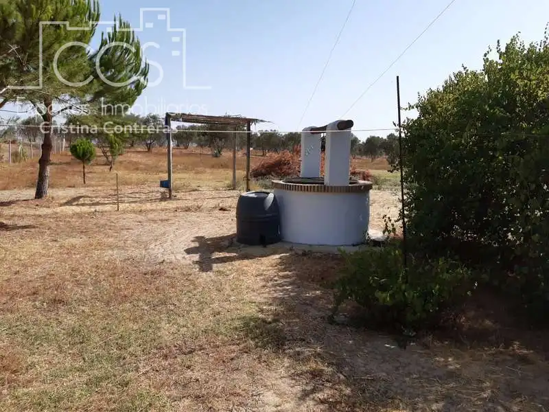 Casa rústica amb jardí en venda a Almonte ciudad, imagen 15