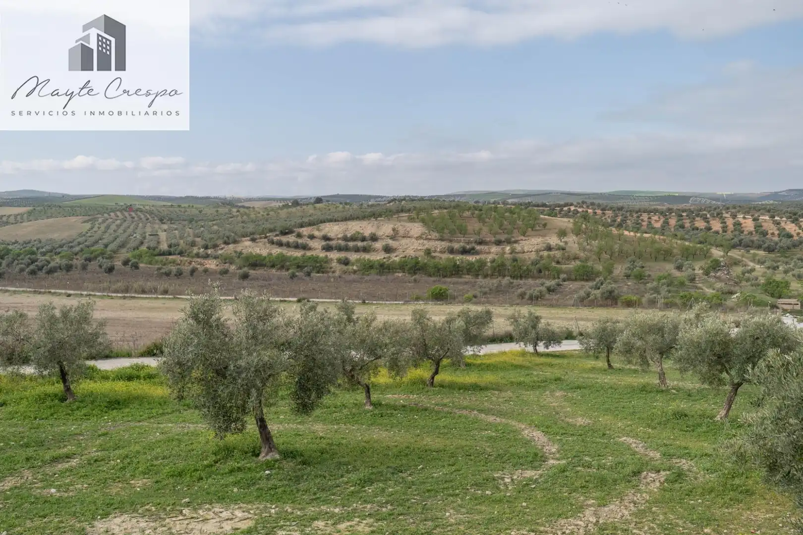 House with pool for sale in Calle del Geranio 29, imagen 20
