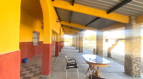 Foto 5 de Finca rústica en venda a Este, Mérida