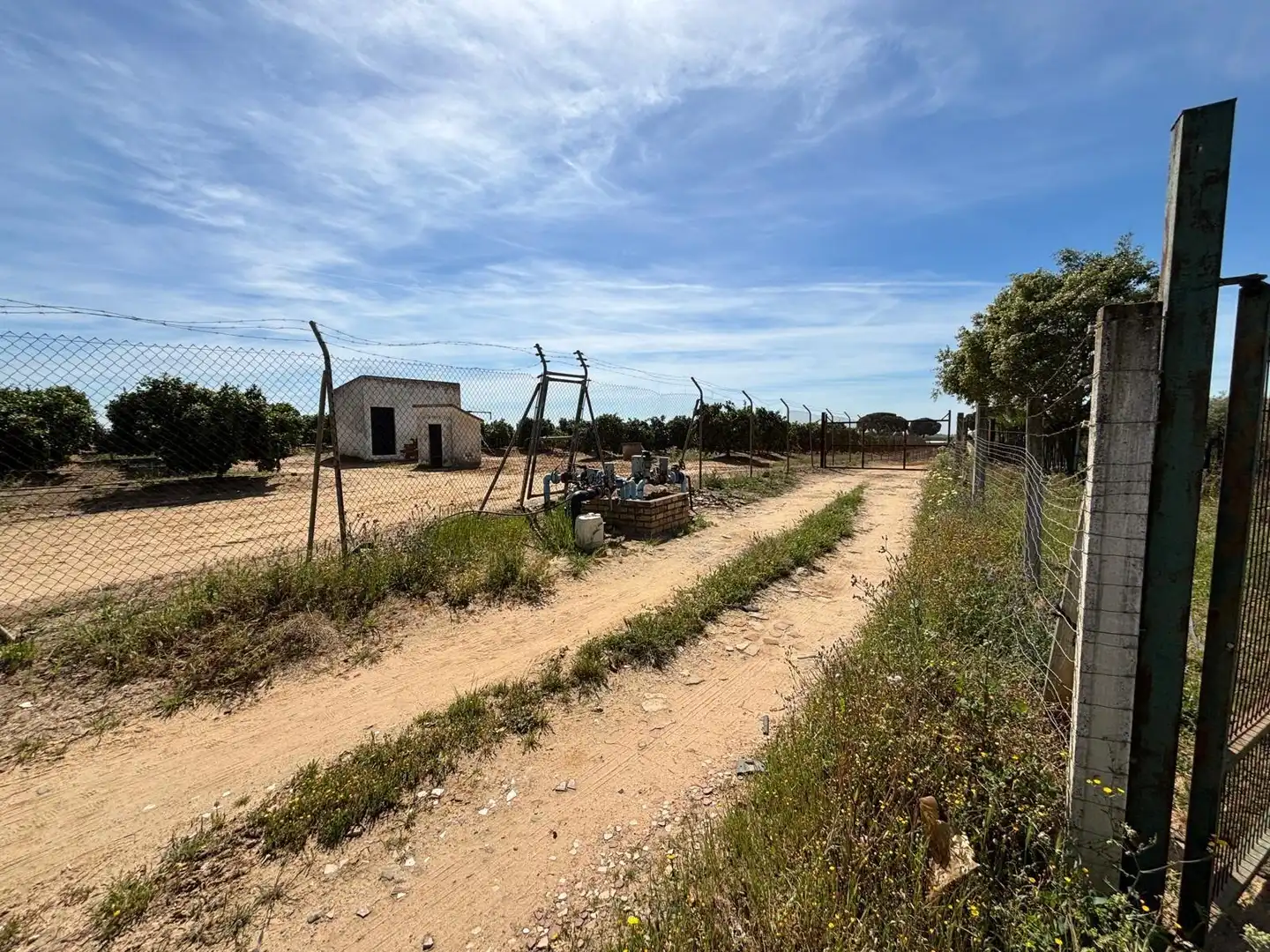 Terreni e lotti in vendita a Polígono Polígono 14 Paraje 87 LOS MONTES, imagen 5