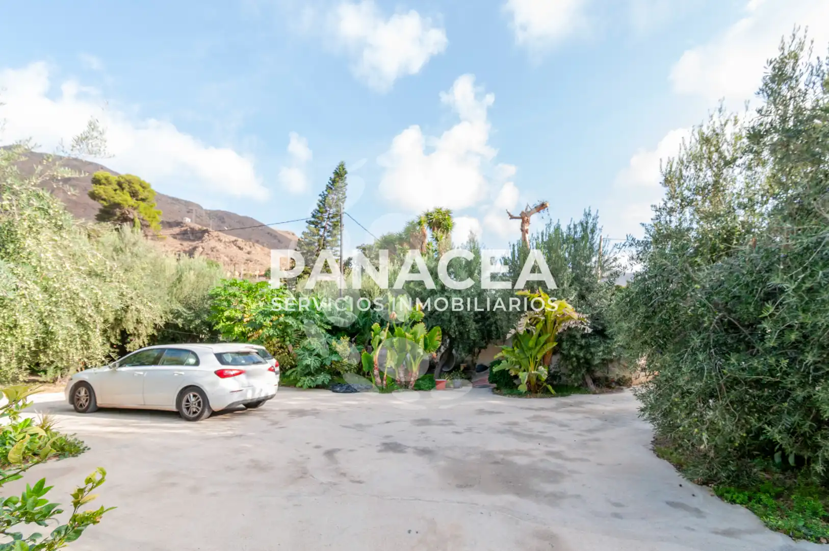 Finca rústica en venta en Vícar Pueblo