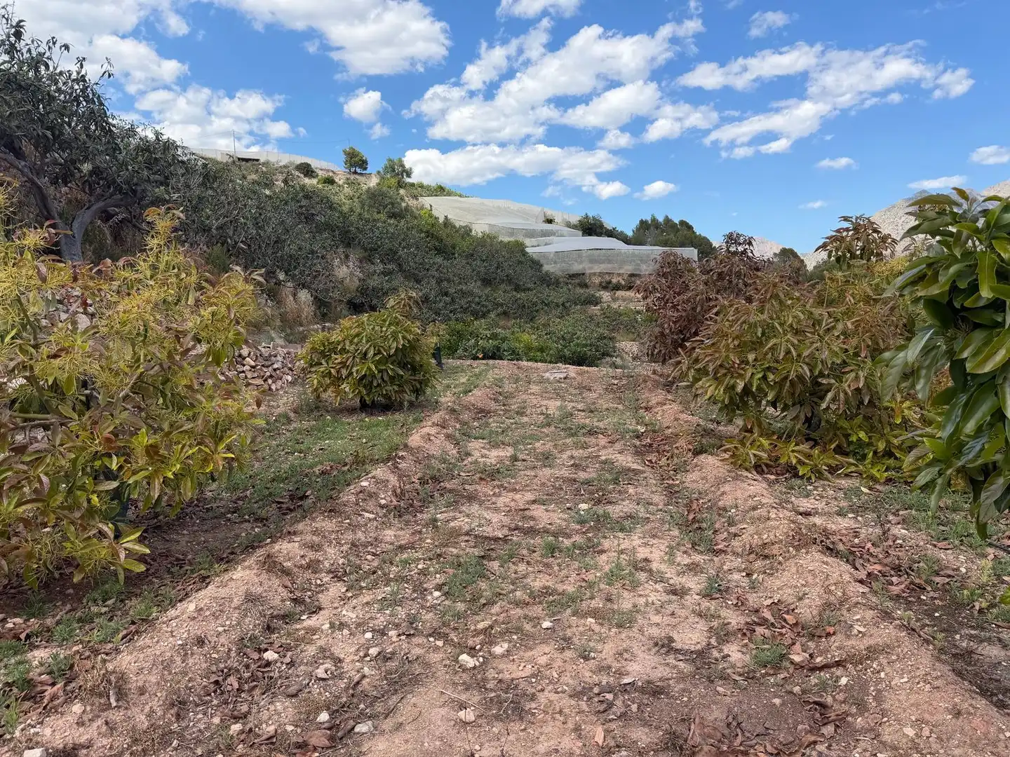 Finca rústica en venta en Polop