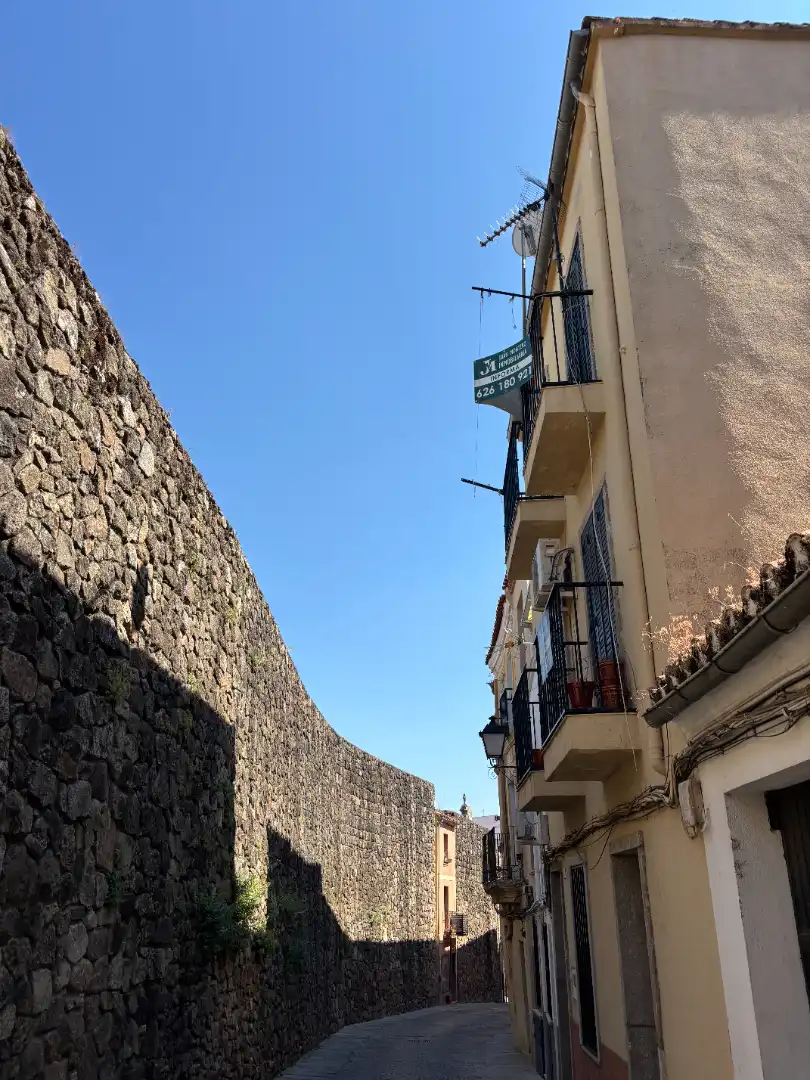 Vista exterior de Casa adosada en venda en Plasencia amb Calefacció i Balcó