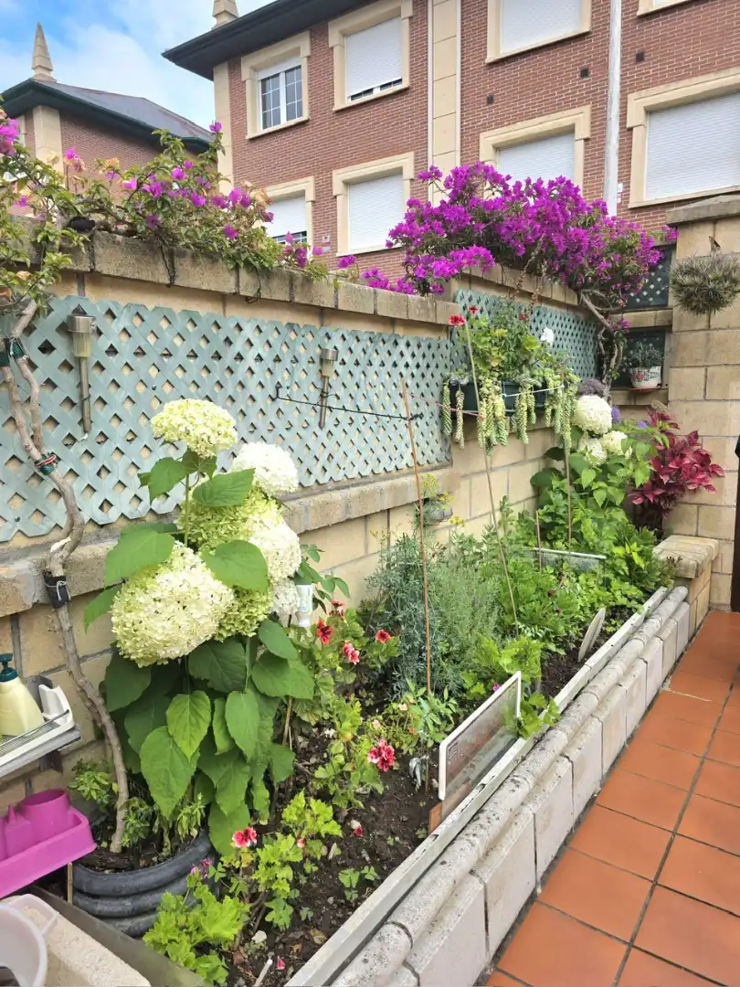 Jardín de Casa adosada en venta en Castro-Urdiales con Calefacción, Jardín privado y Terraza