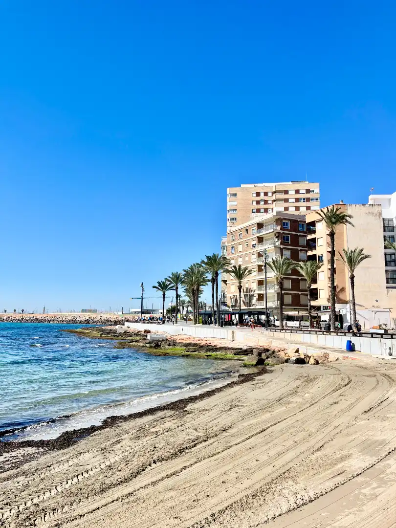 Vista exterior de Pis en venda en Torrevieja amb Aire condicionat, Terrassa i Traster