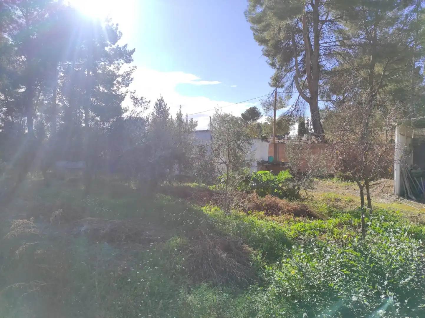 Casa rústica en venda a OJOS DE SAN JORGE, imagen 27