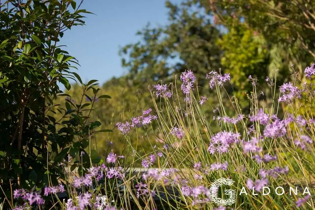 Jardín de Casa o chalet en venta en Urrugne con Calefacción, Jardín privado y Terraza