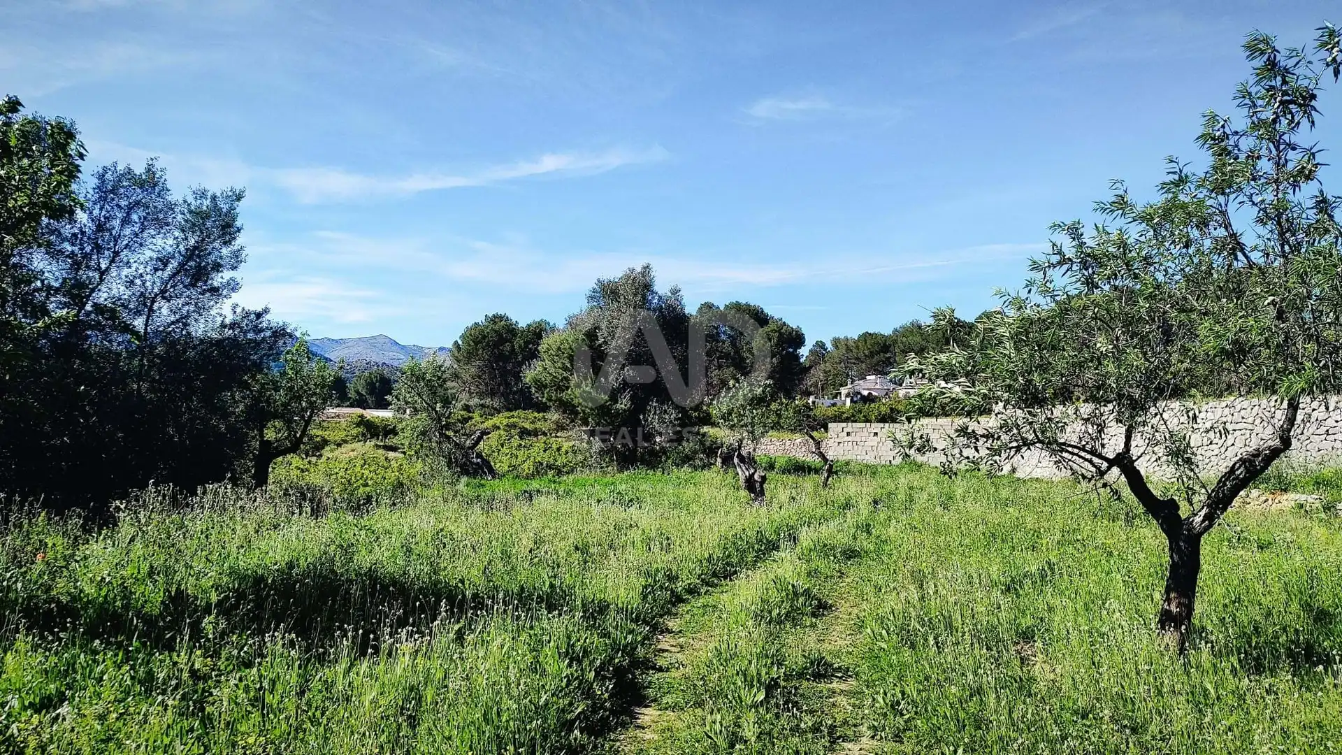 Residential for sale in Murla