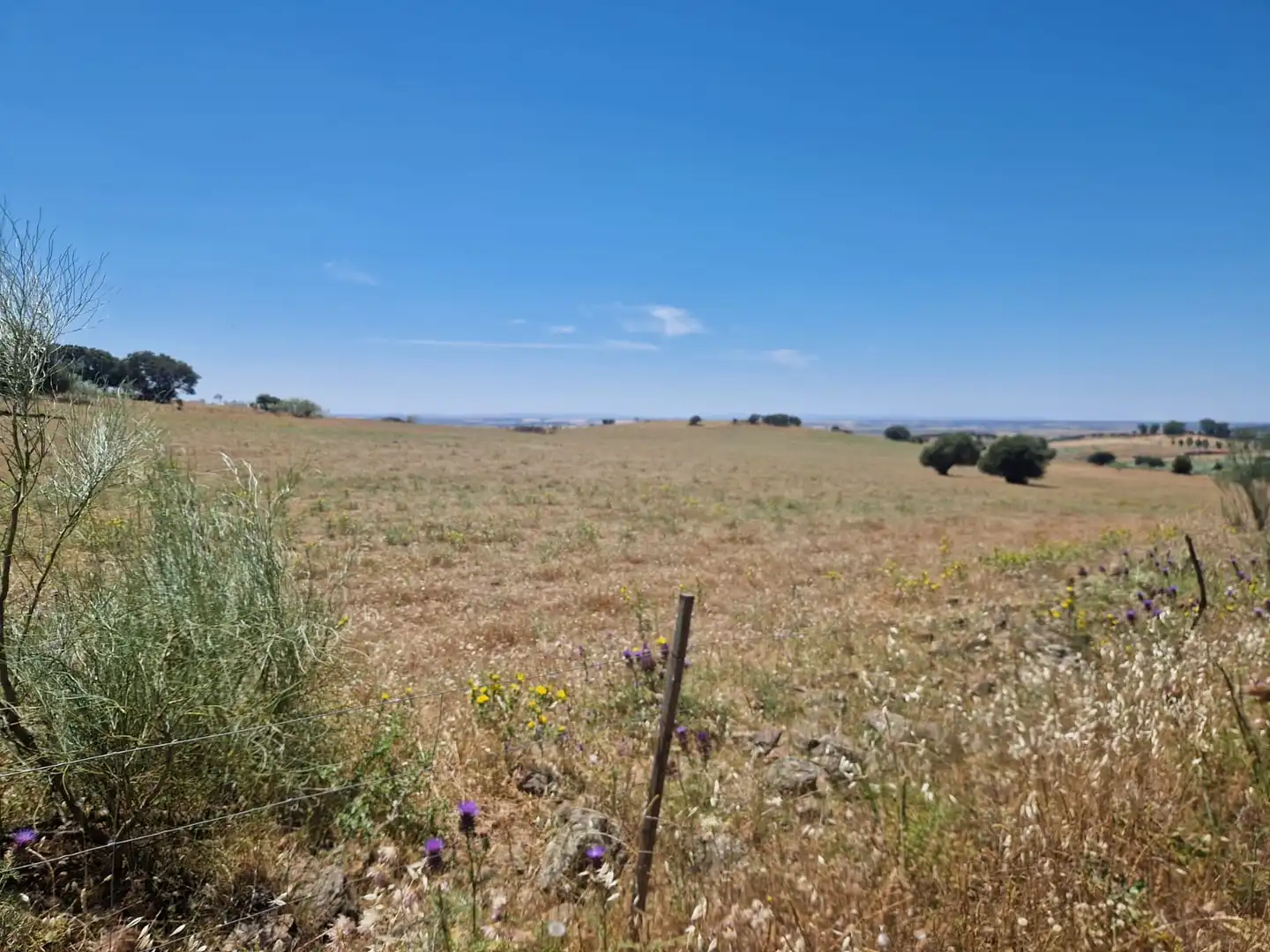 Terreni e lotti in vendita a Oliva de Mérida, imagen 4