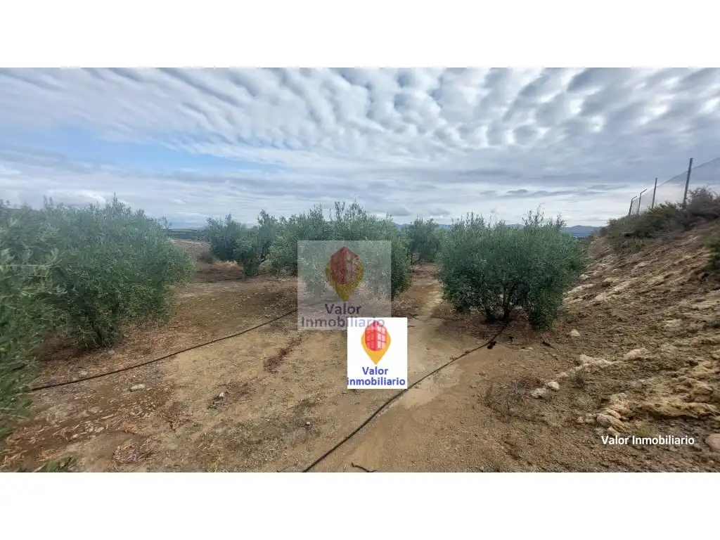 Casa o chalet en venta en Murcia