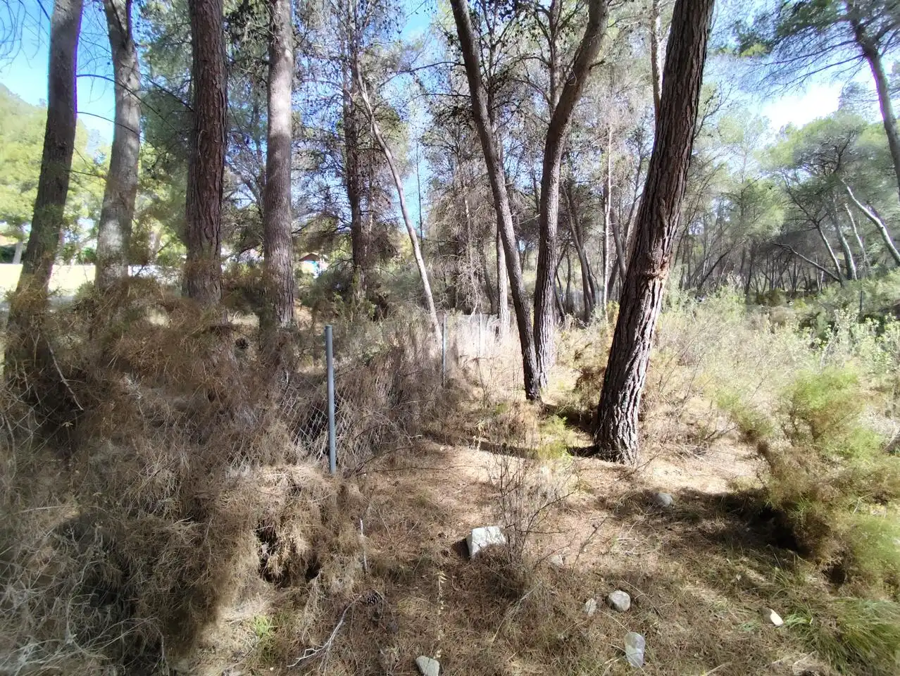 Terrenys i solars en venda a Tibi, imagen 4
