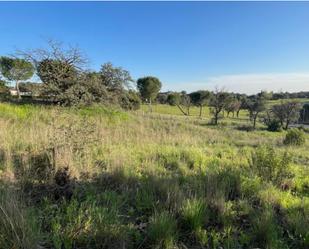 Residential for sale in Las Rozas de Madrid